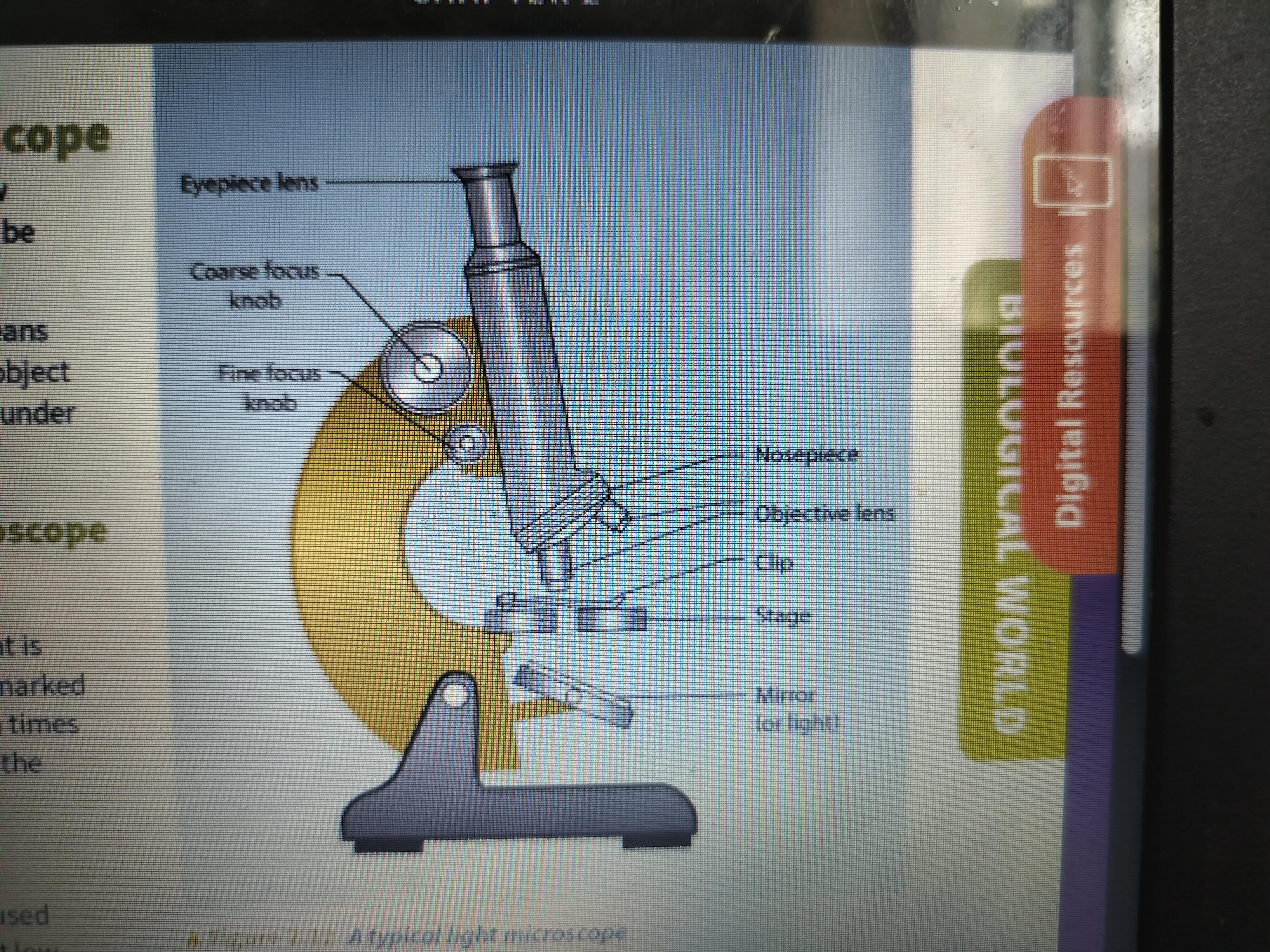 knowt flashcard image