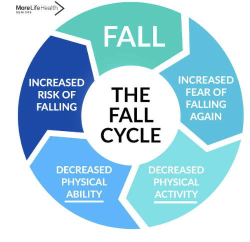 <ol><li><p>increased fear of falling again</p></li><li><p>decreased physical activity</p></li><li><p>decreased physical ability</p></li><li><p>increased risk of falling</p></li><li><p>fall</p></li></ol><ul><li><p>cycle repeats </p></li></ul><p></p>