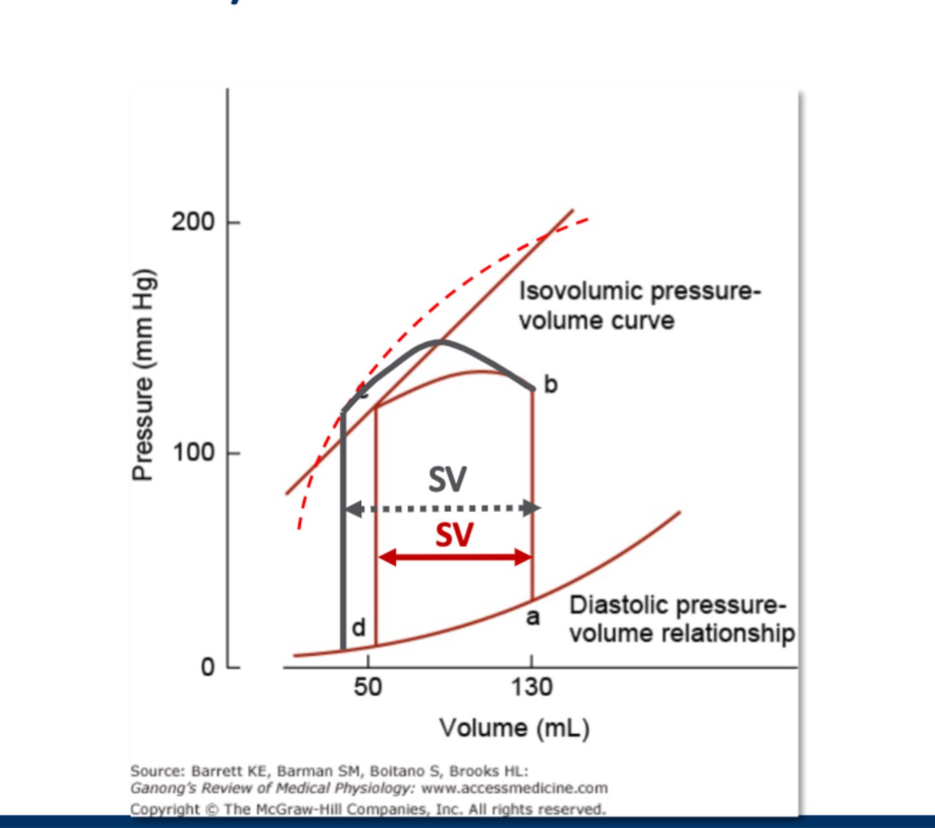 <p>Explanation: In the graph, you start with 130 mL of blood as the end-diastolic volume (denoted by letter a). Then, the pressure increases in the ventricle without the volume changing (you see the red line going straight up), until there is enough pressure for the aortic valve to open (denoted by letter b), and now oxygenated blood can start going into the rest of the body, so the blood volume starts decreasing (going from b to c). What the figure is trying to show is that when there is increased contractibility from SNS activation, the ventricles are able to contact with more strength, so more blood leaves through the aorta. So the red line resembles a normal contraction, and 80 mL of blood leaves (130 mL - 50 mL). But the gray line represents a heart with SNS activation and hence increased contractility, so ~90 mLs of blood leaves (130 mL - ~40 mL). So with the extra contractibility, more blood is ejected out and the SV increases.</p>