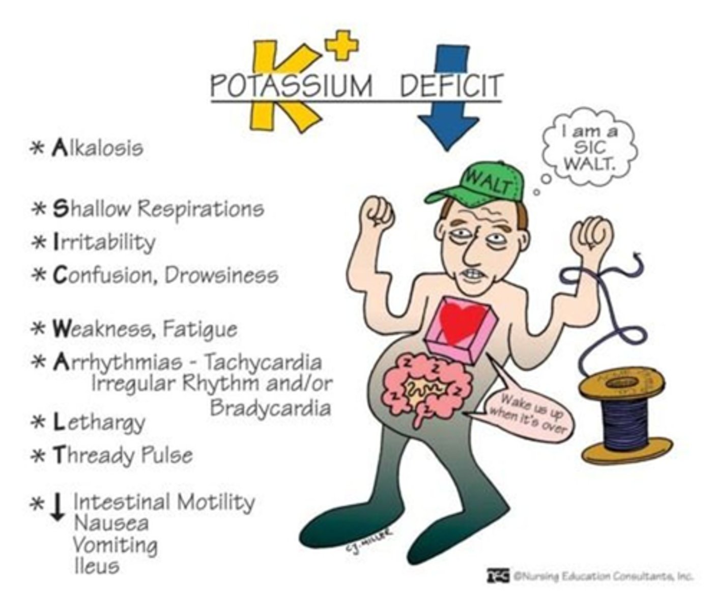 <p>A) Cardiac dysrhythmias, fatigue, heart block, anorexia, nausea, vomiting, decreased GI motility, muscle weakness, paresthesia</p>