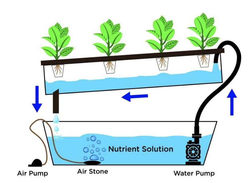 knowt flashcard image