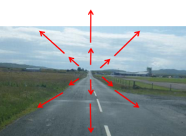 <p>patterns of retinal motion produced when we move, all motion emanates from one point</p><p></p>
