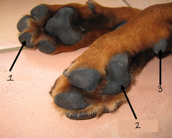 <p>1</p>