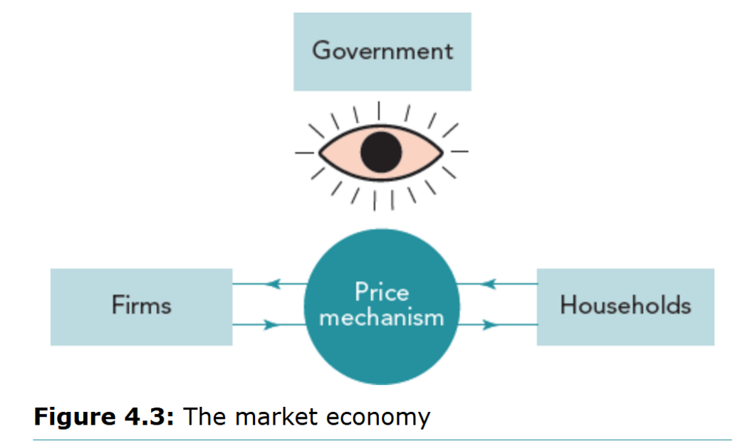 <p>In principle, the government should have no direct role if the price mechanism allocates efficiently; the government observes and intervenes only when markets fail (e.g., public goods, under‑provision of healthcare, regulation of monopoly power).</p>