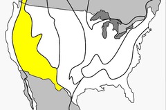 <p>Basin & Range</p><p>Desert areas bordering cliffs and mountains</p><p>Southwest</p>