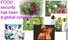 <p>People's ability to access sufficient, safe, nutritious food to maintain a healthy and active life.</p>