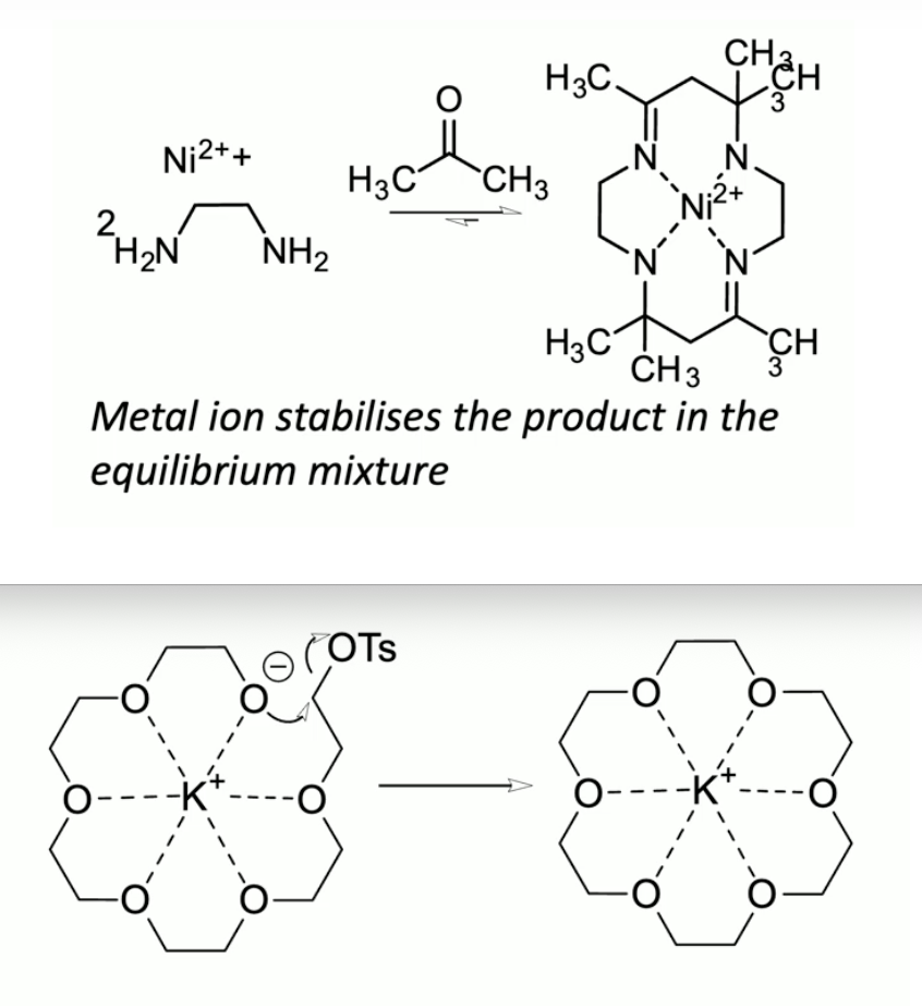 <p>thermodynamic: metal ion stabilises (part of) the RHS of the equilibrium, driving it</p><ul><li><p>in this case Ni<sup>2+</sup> back bonding in to C=N π*, making it less electrophilic</p></li></ul><p>kinetic: coordination of precursor to macrocycle holds reactive groups in close proximity, and in the correct geometry</p>