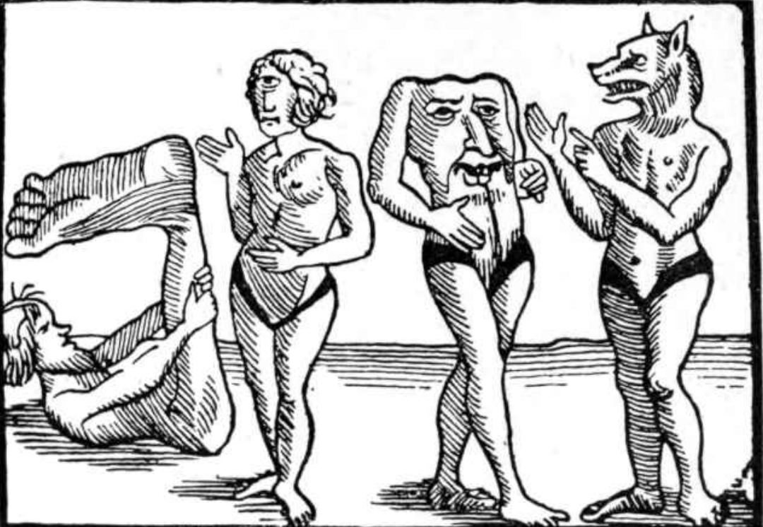 <p>"Differently Human" Beings</p>