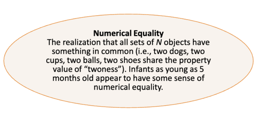<ul><li><p><span style="background-color: transparent;">Numerical equality&nbsp;</span></p><ul><li><p><span style="background-color: transparent;">The relization that all sets of N objects have something (ie. two dogs, two cups..)&nbsp;</span></p></li><li><p><span style="background-color: transparent;">Infants as young as 5 month old appear to have some sense of numerical quality</span></p></li></ul></li></ul><p></p>