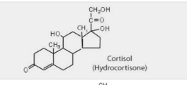 <p>What does cortisol do? </p>