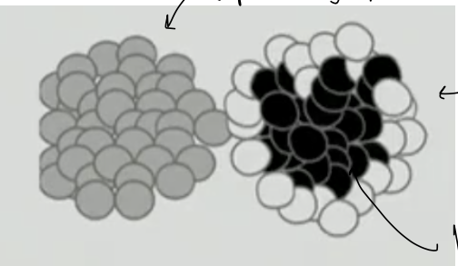 <p>Pop Quiz</p><p>Cells expressing either N-cad (A), high levels of E-cad (B), or low levels of</p><p class="p1">E-cad (C) have sorted themselves out on a substratum as shown below.</p><p class="p1"></p>