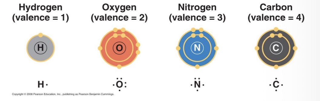 <p>CHON (carbon, hydrogen, oxygen and nitrogen)</p>