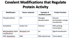 <p>Donor molecule: NAD</p><p>Example: RNA polymerase</p><p>Function: Transcription</p>
