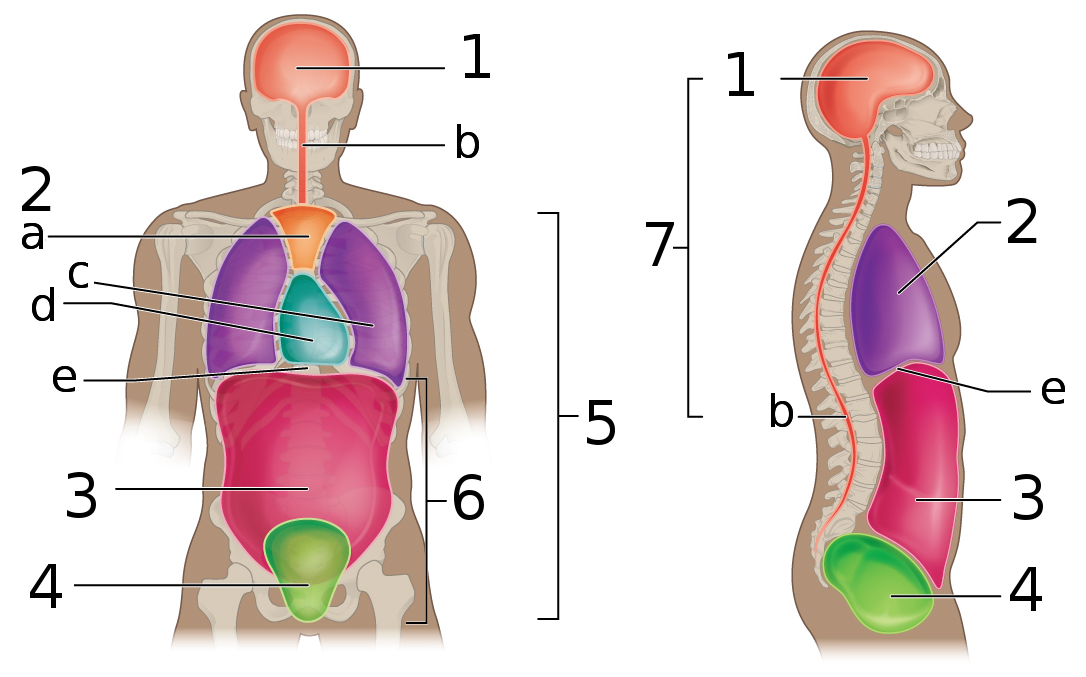 <p>7 containing both 1 and b</p>