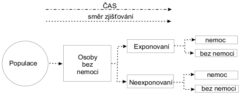 <ul><li><p>prospektivní analytické studie</p></li><li><p>testování hypotéz o vztahu expozice a negativních účinků</p></li><li><p>skupiny jedinců (kohorty) složeny z jedinců nevykazujících na počátku studie sledovaný zdravotní efekt </p></li><li><p>jednotlivé kohorty se liší úrovní expozice (např. exponovaná a neexponovaná)</p></li><li><p>kohorty nějakou dobu (několik let) sledovány → v kohortách zaznamenávány jednotlivé případy onemocnění </p></li></ul><p></p>