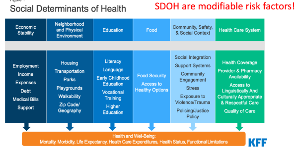 <p>modifiable risk factors that lead to one’s health and well-being</p>