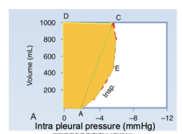 <p>0AECD</p><p>this is showing the work required to overcome BOTH elastic resistance and non-elastic resistance </p>