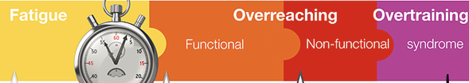 <p>fatigue → overreaching (functional or non-functional) → overtraining syndrome </p>