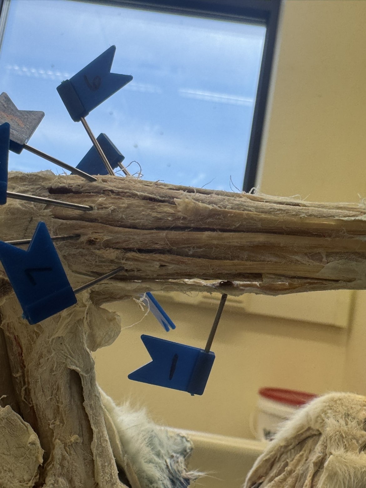 <p>Numbers: </p><p>1</p><p>7</p><p>6</p>