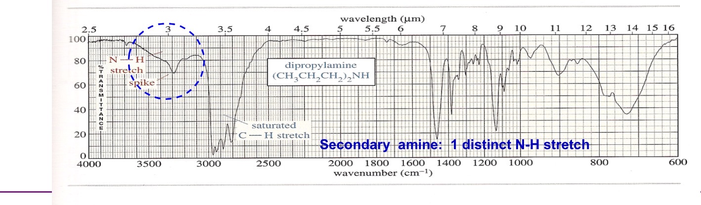 <p>Secondary amine</p>
