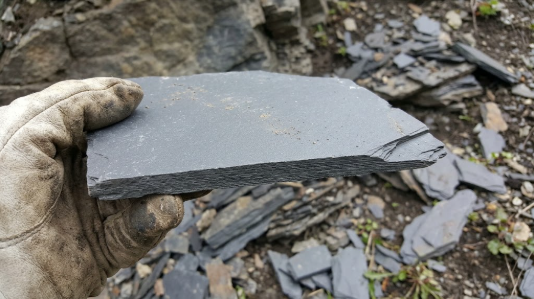 <p>What is the term/concepts being visualized in this image?</p><p>Definition: A fine-grained metamorphic texture characterized by aligned, microscopic platy minerals that produce slaty cleavage.</p>