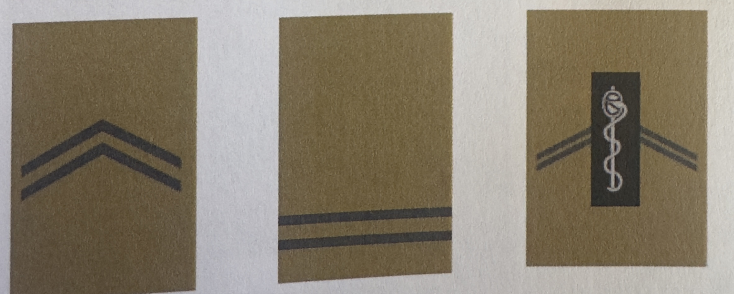 <p>Volontaire 2/4</p>