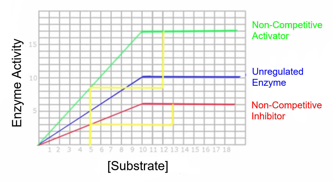 <p><strong><em>Non</em>-competitive regulators</strong> change the Vmax of enzymes but <strong>NOT the Km.</strong></p><p>(Notice that although it may look like the concentration of enzyme has changed, it hasn’t!)</p>
