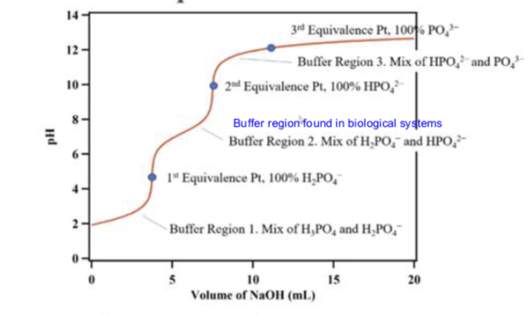 <p>the second equivalence point</p>