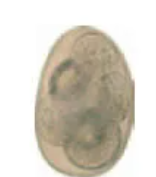 <p>Identify </p>