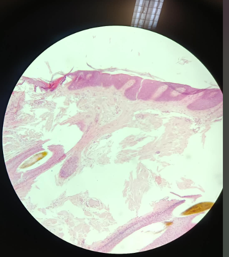 <p>What is this?</p>