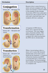 <p>When does horizontal gene transfer occur? What domain is it mostly common in?</p>