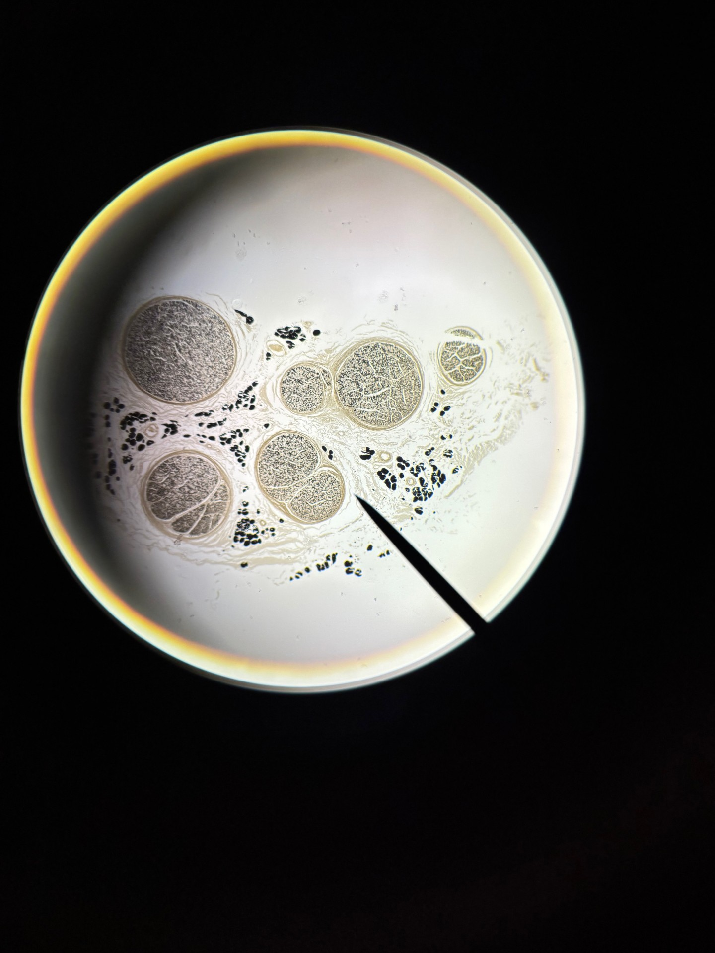 <p>What is this?</p>