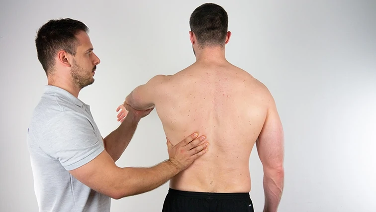 <p><strong>How to Palpate:</strong></p><p>• Posterior axilla fold.</p><p></p><p>Confirm: Resist shoulder extension or internal rotation</p>