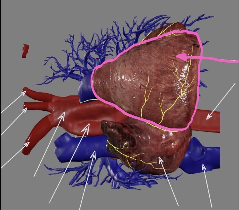 <p>What’s the highlighted area?</p>
