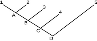 <p><br><span>In the diagram shown which is the most recent common ancestor of 1 and 3?</span></p>