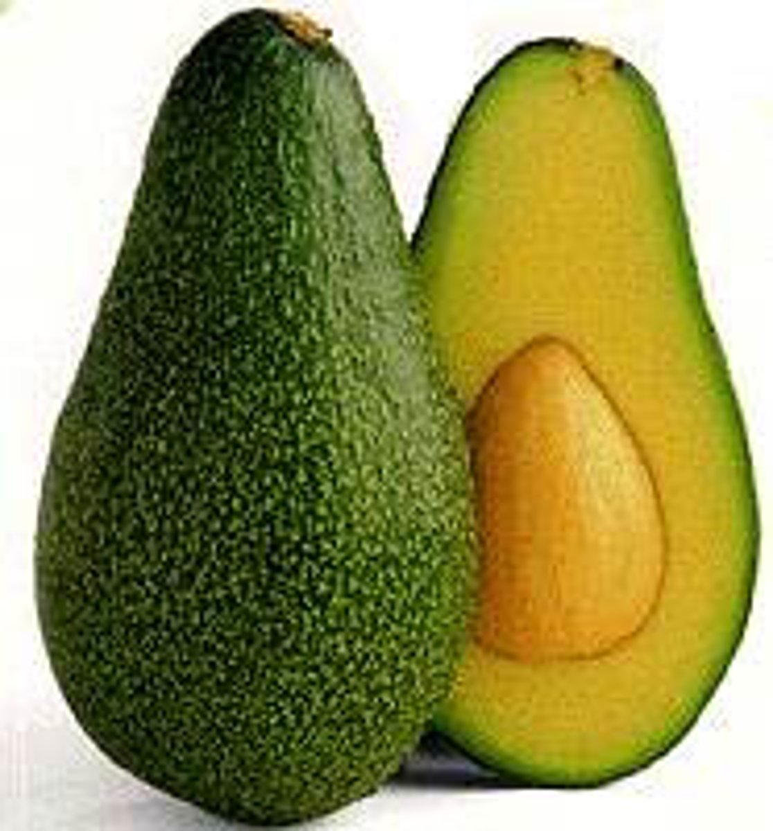 <p>un avocat</p>