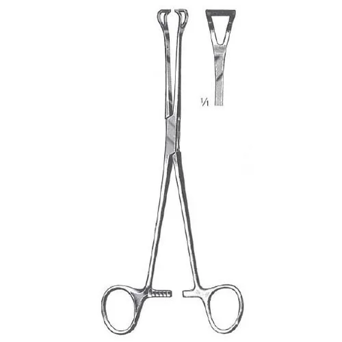 <p>Babcock forceps </p>