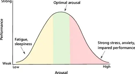<p><span>performance improves with arousal up to an optimal point, after which further arousal decreases performance</span></p>