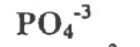 <p>1 Phosphorous, 4 Oxygen, -3 charge</p>