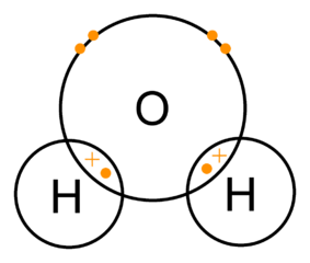 <p>Polar covalent bonds</p><p></p><p>Explanation: Because oxygen is more electronegative than hydrogen, it "hogs" the shared electrons, causing the oxygen end of the molecule to have a partial negative charge and the hydrogen ends to have a partial positive charge. </p><p><em>(Note: While water molecules are famous for their </em><strong><em>hydrogen bonds</em></strong><em>, those are the </em><strong><em>intermolecular</em></strong><em> forces that link different water molecules to each other, not the bonds within a single molecule.)</em></p>