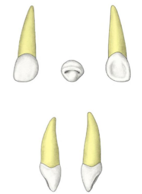 <p>?</p>