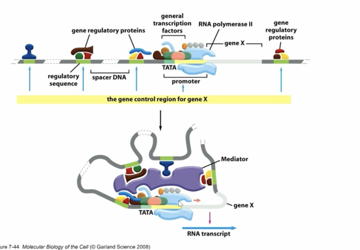 <p>what is going on here?</p>