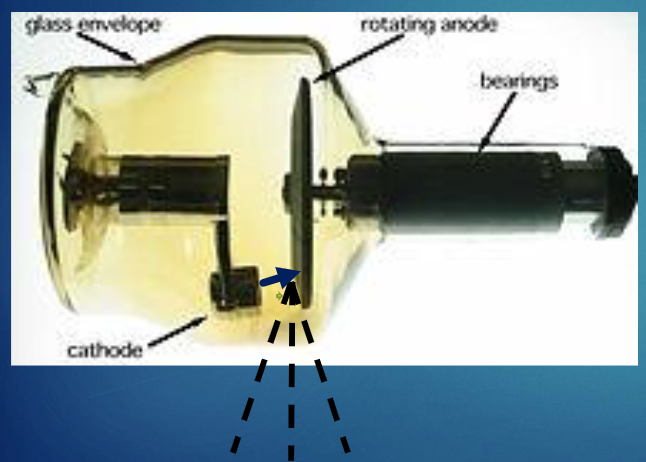 <p>what is the primary function of the envelope? </p>