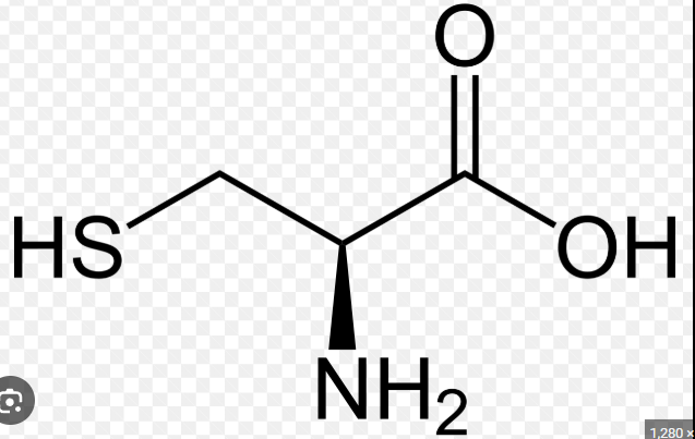 <p>name this amino acid</p>