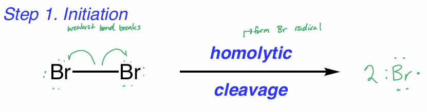 <ul><li><p>weakest bond breaks </p></li><li><p>homolytic cleavage to form Br radical </p></li></ul><p></p>