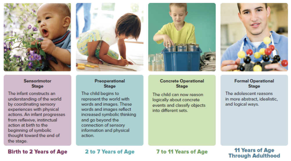 <p>Sensorimotor Stage: infants build an understanding of the world through their senses </p><p>Preoperational (2 to 7): build the world with words and images, </p><p>Concrete ( 7 to 11): children perform operations with objects and think logically about events</p><p> Operational stage: abstract, idealistic and logical </p>