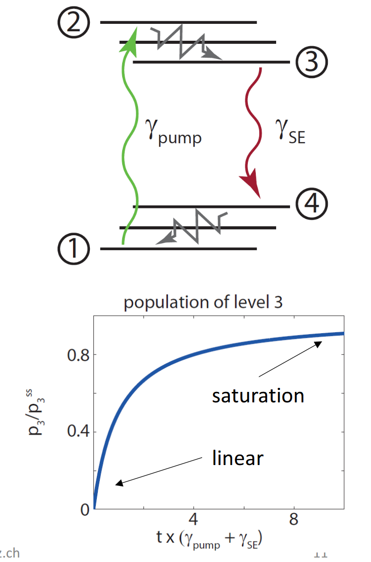 <ul><li><p>4-level system created by two electronic states (of a fluorophore) and vibrational relaxation</p></li><li><p>Vibrational relaxation is infinitely fast</p></li><li><p>Start in ground state, turn on pump</p></li><li><p>population of excited state as a function of time follows “charging“ curve of capacitor</p></li></ul><p></p>