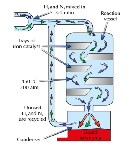 <p>when nitrogen and hydrogen are reacted using a catalyst to make ammonia and reach equilibrium, so that when the ammonia is removed equilibrium increases rate of reaction in the direction of the ammonia</p>