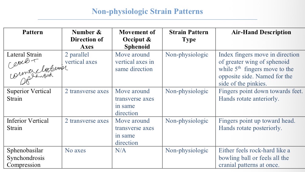 <p>Lateral strain, superior vertical strain, inferior vertical strain, sphenobasilar synchondrosis compression</p>