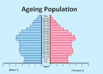 <p>What is an ageing population in relation to a population pyramid?</p>